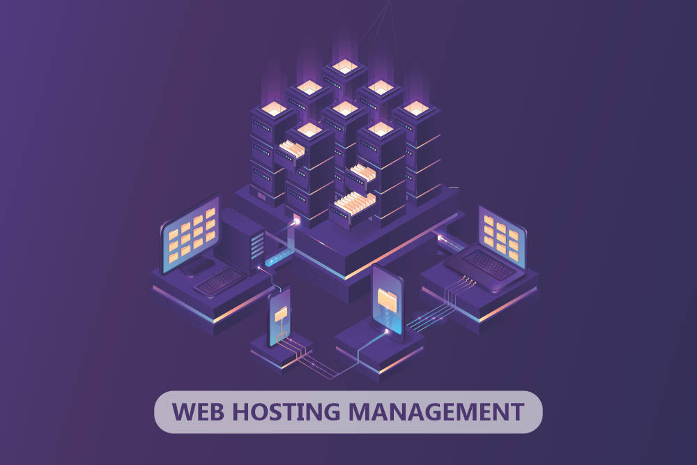 Web Hosting Management